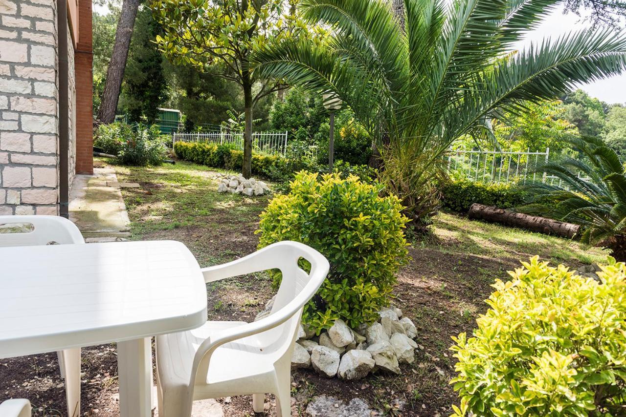 Poggio A30 - Poggio, Nuovo Bilocale Con Giardino公寓 外观 照片